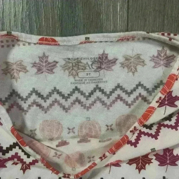 Carter’s and Children’s Place 2 Piece Girls Fall Long Sleeve Tee Bundle Size 5 - Picture 5 of 9